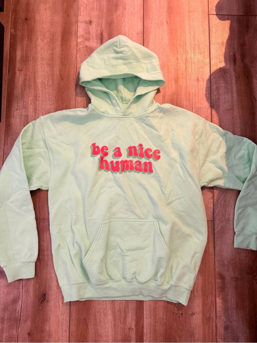 Be a Nice Human Mint Green Hoodie